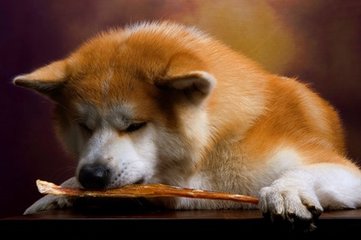 Bitcoin钱包苹果版